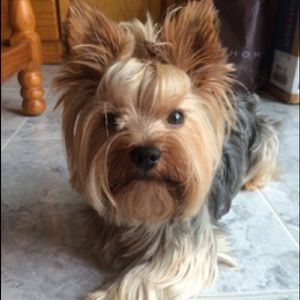 Meet your Posher, Malaika